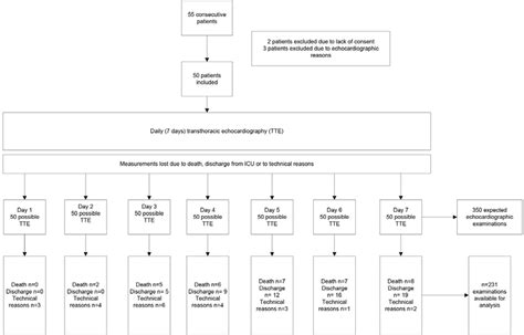 Flowchart showing TTE investigations from day 1 to day 7. | Download ...