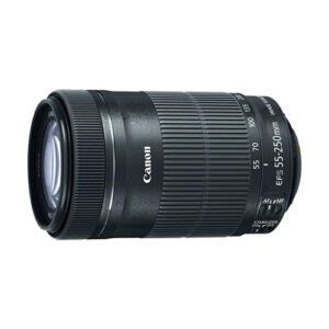 Canon EF-S 55-250mm f/4-5.6 IS STM - Photography Life