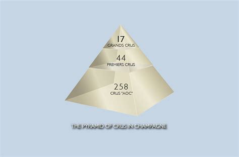 Grand Cru Wine: Classification by Region, 8 Best Bottles (2021)