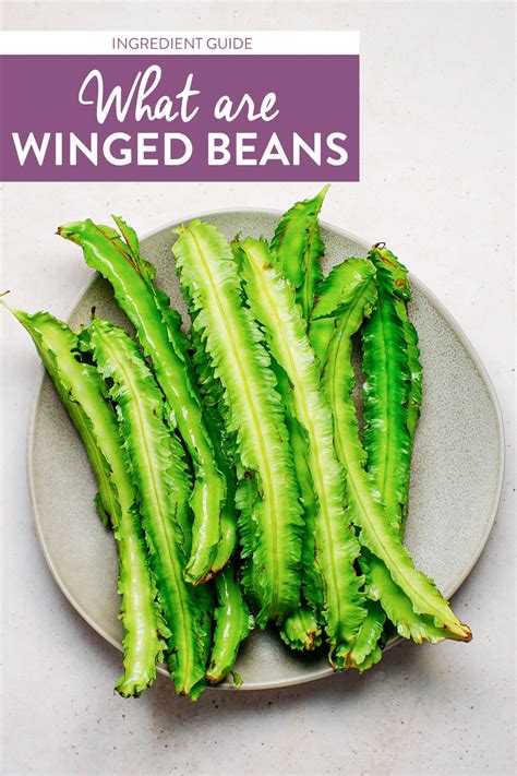 What are Winged Beans - Full of Plants