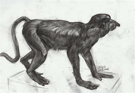 proboscis monkey by Black-Comet333 on DeviantArt