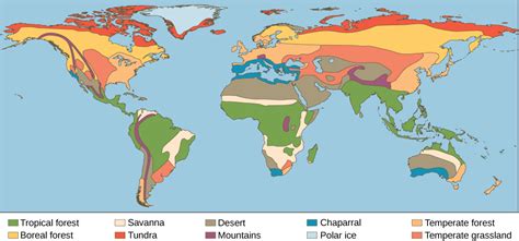 Terrestrial Biomes · Biology