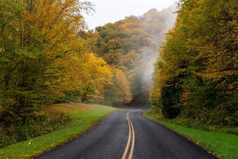 Asheville 2019 Fall Color Report & Forecast | Scenic Views | Asheville ...