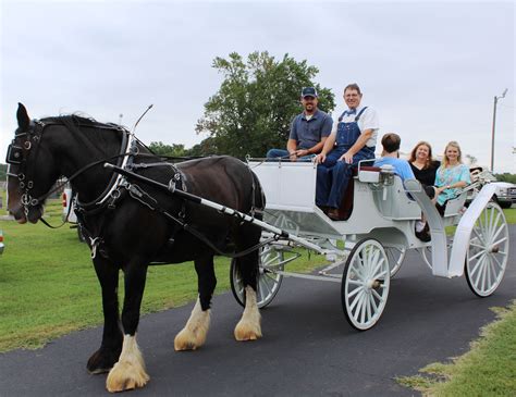 Horse and Buggy rides