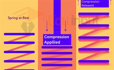 Compression Force-Definition, Effect, Uses, And Examples