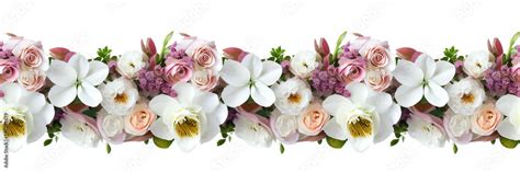 Abstract floral banner. Isolated fresh flowers on transparent ...