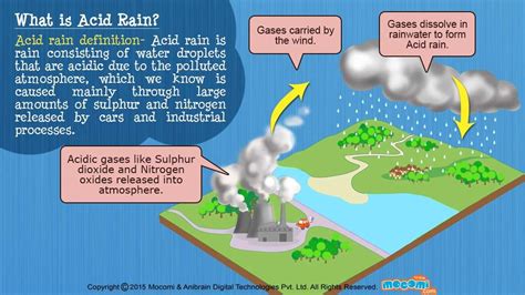 Acid Rain Explained For Kids