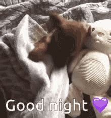 Good Night Sleep GIF - Good Night Sleep Sleeping - Discover & Share GIFs