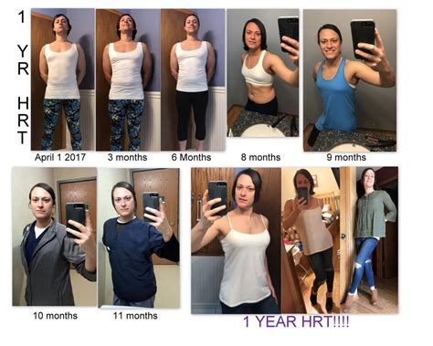 Body Stages Of Mtf Transition Timeline