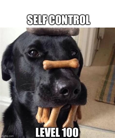 Self control - Imgflip