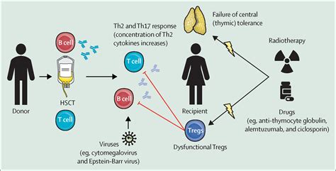 Immune cytopenia after allogeneic haematopoietic stem-cell ...