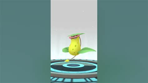 weepinbell evolves into victrebell | weepinbell evolution pokemon go ...