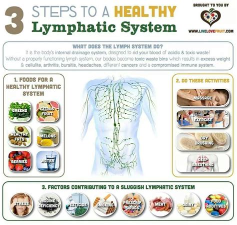 Lymph Drainage Is The Secret To Staying Healthy And Preventing Cancer ...