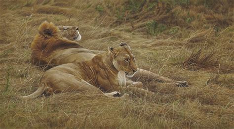 Original Paintings by Daniel Smith Wildlife Artist | Daniel Smith Wildlife