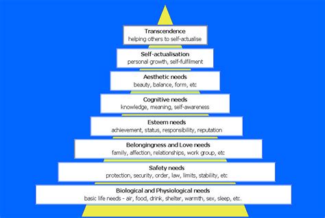 Examples Maslow's Hierarchy Of Needs