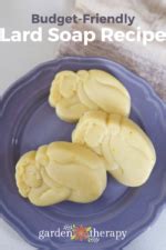 Budget-Friendly Soap Making With Lard Soap - Garden Therapy