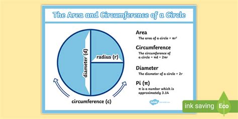 The Difference Between Radius and Diameter | Teaching Wiki