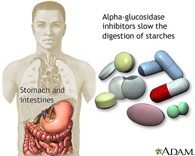 HIE Multimedia - Alpha-glucosidase inhibitors