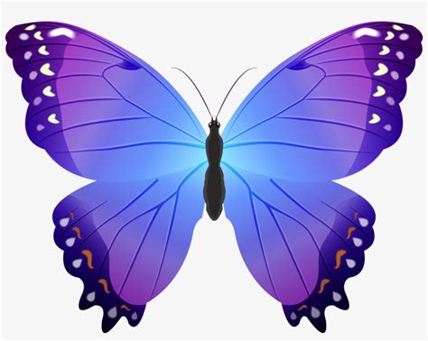 Butterfly Purple Transparent Png Clip Art - Blue And Purple Butterfly ...