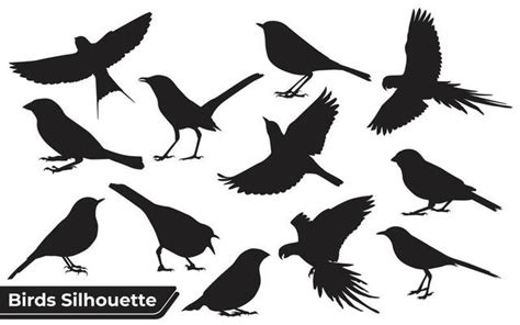 Bird Vector Art, Icons, and Graphics for Free Download