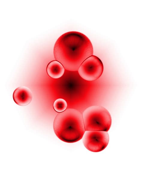 File:Blood cells.jpg - Wikipedia