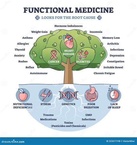 Functional Medicine As Treatment with Looks for Root Cause Outline ...