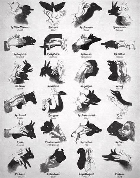 How to make shadow animals with your hands. - 9GAG | Hand shadows ...