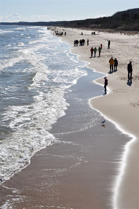 Baltic Sea Beach Gull To - Free photo on Pixabay - Pixabay