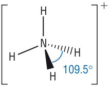 Ammonium ion bonding - gulflinks