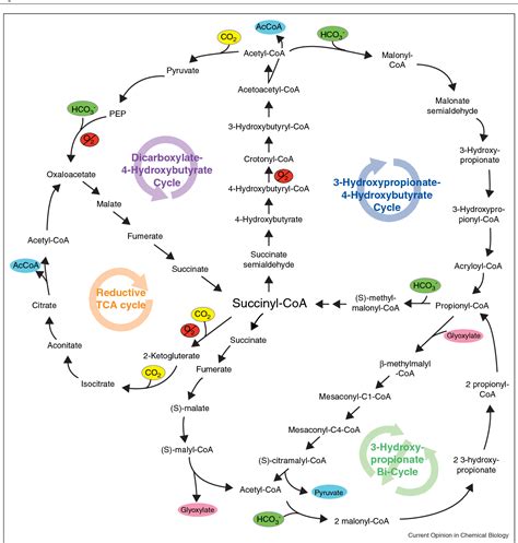 Figure 2 from Improving carbon fixation pathways. | Semantic Scholar