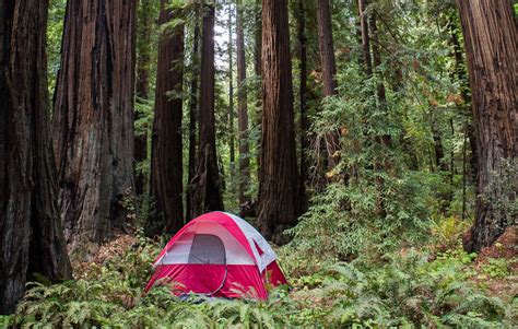 Redwood National Park features prime social distance camping - Save the ...