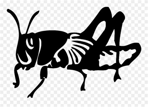 Locust Drawing Black And White - Locust Black And White Clipart ...