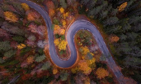 Forest road view from the top, view from the top, forest, autumn, tree ...