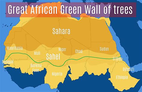 Can A Desert Turn Into A Forest? - WorldAtlas