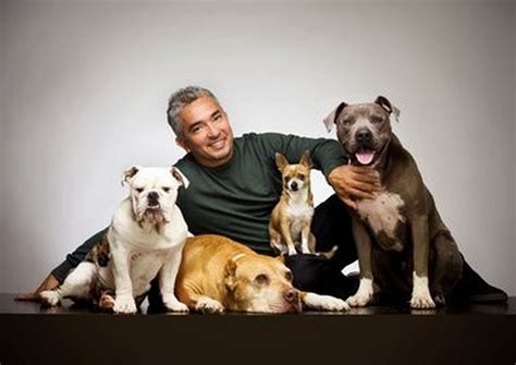 Cesar Millan interview: Dog training expert discusses critics, suicide ...