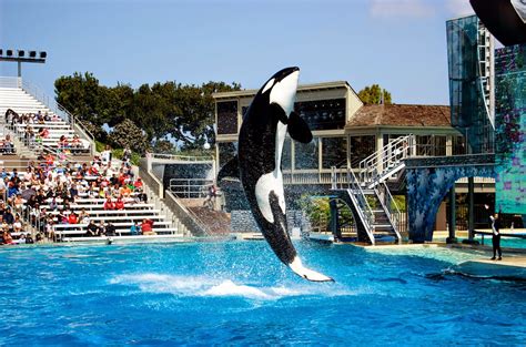 Sea World California in San Diego, CA, USA | Tourist Destinations