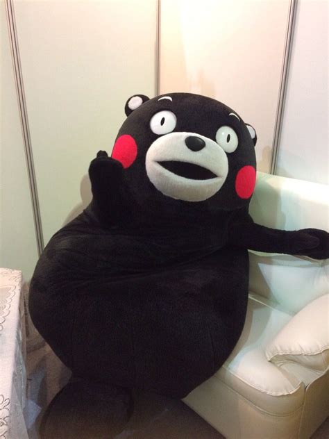 kumamon | Memes, Kumamon, Japan