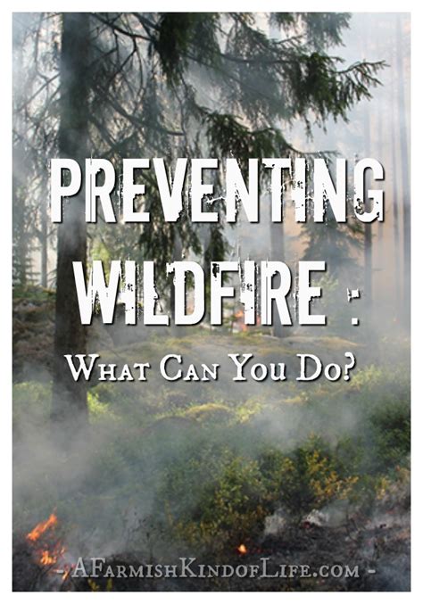 Preventing Wildfire: What Can You Do? - A Farmish Kind of Life