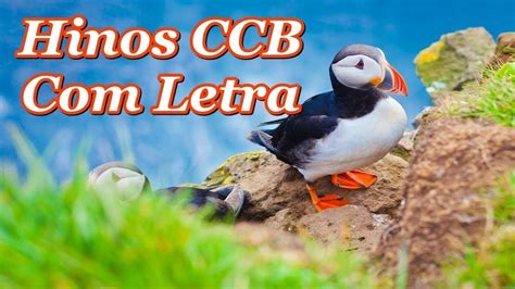 Hinos CCB (Com Letra) Cantados Hinário 5, Hinos CCB - YouTube