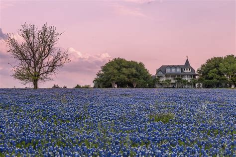 The Ten Best Spots in Texas to See Bluebonnets in 2021 — Jason Weingart ...