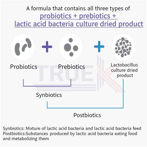 [JW pharma] Probiotics Classic 30 sachets/lactobacillus of breast milk ...