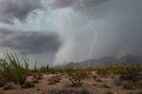 Sonoran Desert - A-Z Animals