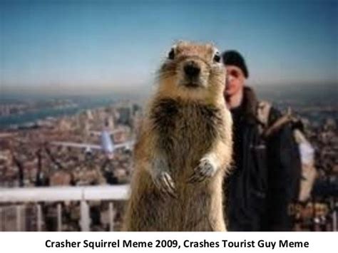 The Tourist Guy Meme