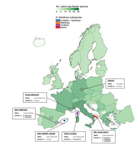 An overview on the worldwide vectors of Xylella fastidiosa • XF-ACTORS