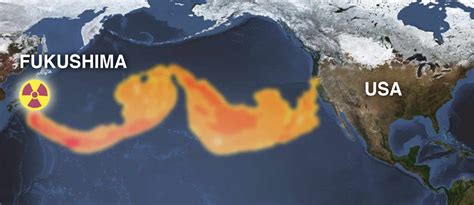 Fukushima and Radioactivity in Seafood