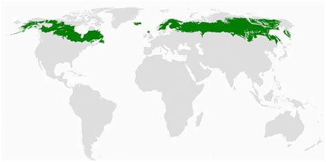 Boreal forest Canada Map | secretmuseum