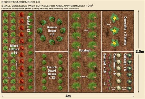 19 Vegetable Garden Plans & Layout Ideas