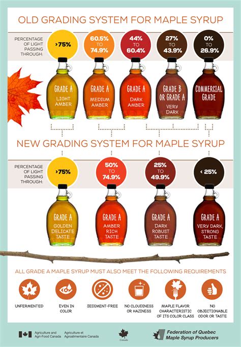 Maple Syrup Grades | The Four Grades of Maple Syrup