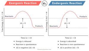 Exergonic Reaction: Definition, Equation, Graph, and Examples