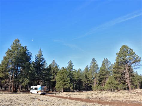 Forest camping: Sycamore Canyon, Arizona